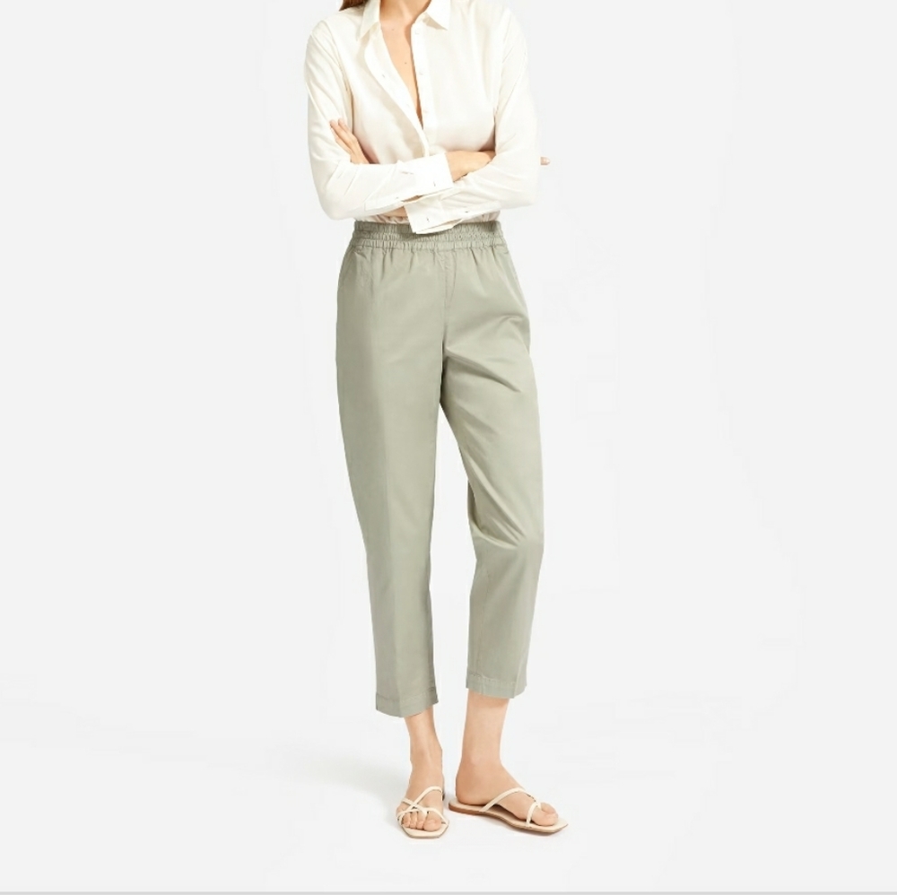 Everlane Easy Chino Pants, Sage Green, Size 16